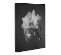 Pretty White Orchid Canvas Print | Gallery Wrapped 30mm Frame Wall Art | 30x20 inches | Ready to Hang | Modern Floral Picture | Living Room Bedroom Lounge Office
