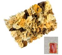 Prettyhome Natural Sea Sponge Stippling Paddles for Wall Texture Painting-Reusable, Exquisite Texture Creation Tool ，Art Paint Fine Small Texture Pattern Tool for Home Wall Painting