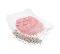 PRETYZOOM 10pcs Acrylic Halloween Coasters Blood Splatter Brain Slice Floral Design for Spooky Party Decorations and Table Mats for Halloween Bars and Themed Gatherings