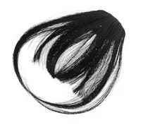 PRETYZOOM 2pcs Clip In Fake Bangs Hair Extensions for Women Natural Wispy Fringe Hair Piece for Daily Party Wedding Styles Volume-enhancing Lightweight Design