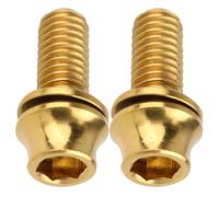 PRETYZOOM 2pcs Titanium Alloy M5x12mm Screws for Water Bottle Cage Fixing, Sturdy Bike Handle Riser Screws Suitable for Mountain Bike Frame Use