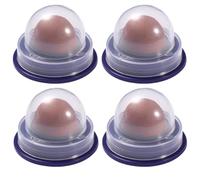 PRETYZOOM 4pcs Catmint Ball with Salmon Flavour for Cats, PET Treat | Catnip and Fish Gelatin Blend, Adhesive Tape and Lid Included, for PET Food Use and Natural Instincts