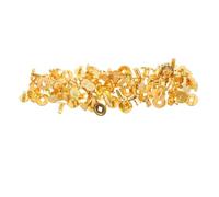 PRETYZOOM 50pcs Vintage Retro Wine Box Clasp with Lion Pattern, Gold Plastic Security Buckle Featuring Elegant Closure and Wear Resistant Design for Home and Shop Use
