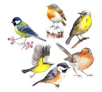 PRETYZOOM 6pcs Hummingbird Wall Decals PVC Window Stickers Assorted Color Anti-Collision Bird Alert Fashion Pattern Realistic Design for Window and Shopping Mall Decoration