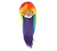PRETYZOOM Colorful Long Wig Rainbow Wig Costume Party Stylish High Temperature Silk Soft Feel for Women Daily Fancy Dress