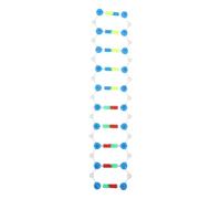 PRETYZOOM Double Helix Dna Molecular Model Kit Precision Assembly Build Plaything for Students Scientific Genetics Educational Tool for Classroom Biology Teaching and Learning