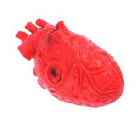 PRETYZOOM Halloween Body Organ Broken Body Parts Halloween Decorations Halloween Blood Props Fake Heart Scary Prank Toys Zombie Party Decorations Fake Scary Prop Ornament Human Body