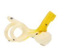 PRETYZOOM Human Ear Anatomy Model Realistic Inner Ear Display for Teaching Aid for Universities and Clinics Anatomical Structure Model for Physiology Study