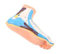 PRETYZOOM Human Foot Anatomy Model with Color Coded Muscle Detailing and Flexible Vessel Representation, Realistic Vinyl Articulated Foot Figurine for Training and Classroom Learning