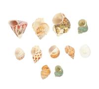 PRETYZOOM Natural Conch Shell Fish Tank Decor Safe Aquarium Ornament for Crabs Premium Shell Adornment for Desktop Aquatic Landscape Enhances Natural Look