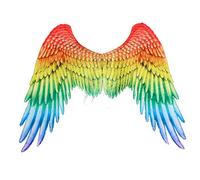 PRETYZOOM Rainbow Wings Adult Carnival Costume Angel Wings with Elastic Straps for Cosplay Party Performance and Festival Decoration