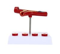 PRETYZOOM Realistic Human Cardiovascular Model Blood Vessel Display Model Pvc Material Fine Craftsmanship for Physiology and Anatomy Teaching for Students