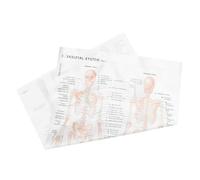 PRETYZOOM Skeletal System Anatomy Poster on Beige Cloth Material, 50x70cm Educational Decor for Teaching and Home Office, Human Skeleton and Muscle Chart for Anatomy Study