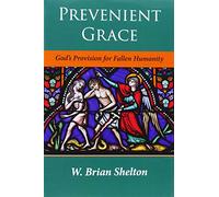 Prevenient Grace: God's Provision for Fallen Humanity