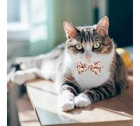 Prevessel Classic Floral Bowtie Cat Collar with Bell for Stylish Pets 8-11 Inches Adjustable for Kittens Puppies (purple)