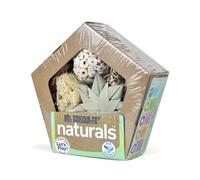 Prevue Pet Products Small Pentagon Forage n Play Box for Small Animals