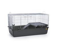 Prevue Pet Products Universal Small Animal Home, Small Cage Portable Travel Carrier for Pets, House for Baby Ferret, Hedgehog, Guinea Pig, Rabbit, Chinchilla, Syrian Hamster, or Tortoise, Dark Gray