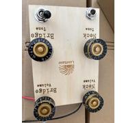 Prewired Wiring Harness Kit 2V2T with Push-Plull for Split Coil Humbucker Pickups, Solid Replacement Parts for SG Style Electric Guitars, Loaded Push/Pull Pots Caps 3-Way Switch, Black/Gold