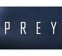 Prey CN Steam CD Key