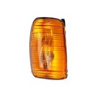 PRFGSGVBV Turn Signal Light For Transit MK8 2014 2015-2018 2019 2020 RearView Mirror Side Turn Signal Lamp Cover Indicator Light Shell Car Accessories Mirror Indicator Light(1Pc Left Amber)