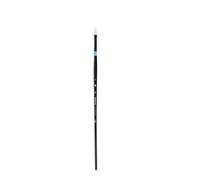 Princeton : Aspen : Synthetic Bristle Brush : Series 6500 : Long Handle : Flat : Size 2
