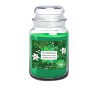 Price's Petali Christmas Light Large Jar Candle