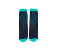 Pride and Prejudice Socks - Small