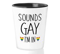 Pride Month Shot Glass 1.5oz - Sounds Gay, I'm In - Rainbow Queer LGBTQ Lesbian Gay Pride Coming Out Humorous Gag