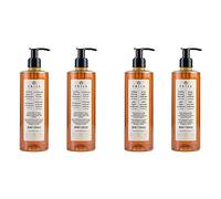Prija Hand Wash and 2 in 1 Shower Gel Shampoo Bundle Ginseng 4x 380ml