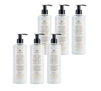 Prija Protective Hair Conditioner with Green Walnut Extract 6x 380ml | Conditions and Nourishes Hair. Protects from External Aggressors. For All Hair Types. With Pump Dispenser.