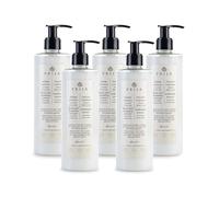 Prija Protective Hair Conditioner with Green Walnut Extract for All Hair Types, Conditions and Nourishes Hair and Protects from External Aggressors with Dispensing Pump 5 x 380ml