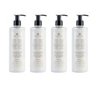 Prija Protective Hair Conditioner with Green Walnut Extract for All Hair Types, Conditions and Nourishes Hair and Protects from External Aggressors with Dispensing Pump 4 x 380ml