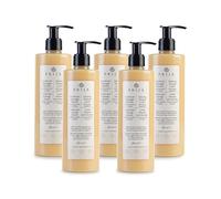 Prija Relaxing Massage Lotion with Aloe Vera and Cypress Oil, Refreshing and Moisturising Body Cream Leaves You Feeling Relaxed with a Sense of Wellbeing 5 x 380ml