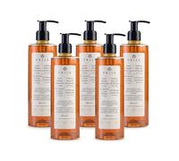 Prija Vitalising 2 in 1 Shower Gel and Shampoo with Ginseng 5x 380ml