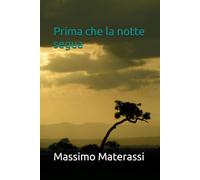 Prima che la notte segua