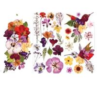 Prima Marketing Re-Design Decor Transfers 6"X12" 3/Sheets-Organic Flora