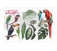 Prima Marketing Re-Design Decor Transfers 6"X12" 3/Sheets-Tropical Birds