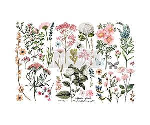 Prima Marketing RE653378 Re-Design Decor Transfers 6"X12" 3/Sheets-Botanical Paradise