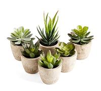 PRIMAISON Artificial Succulents Plants Potted Set-Decorative Fake Succulent Plant Faux Plastic Plant Indoor &Outdoor for House Office Desk Bathroom Kitchen DIY Decor Gift Set of 6