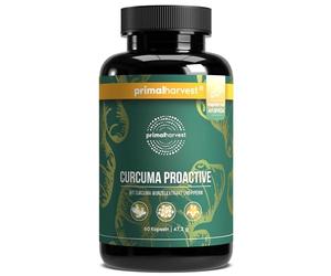 Primal Harvest Curcuma Curcuma Extract with BioPerine Organic Turmeric Powder 95% Curcuminoids Laboratory Tested (1 Pack (60 Capsules))