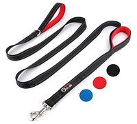 Primal Pet Gear Dog Leash 8ft Long - Black - Traffic Padded Two Handle - Heavy Duty - Double Handles Lead for Control Safety Training - Leashes for Large Dogs or Medium Dogs - Dual Handles Leads