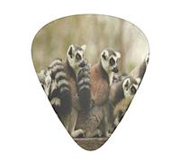 Primate Madagascar Lemur Plectrums Guitar Picks For Bass Electric Acoustic Guitars (12 Count)