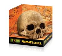 Primate skull decoration kit Exo Terra