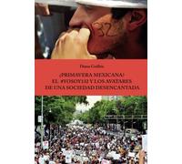 ¿Primavera Mexicana?: el #yosoy132 y los avatares de una sociedad desencantada