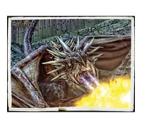 Prime 3d Drake Harry Potter Lenticular Puzzle 300 Pieces