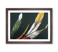 Prime Bird Feathers Framed Print | A2 Walnut Framed Wall Art | Ready to Hang | Modern Nature Picture | Living Room Bedroom Lounge Office