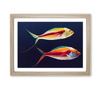 Prime Fish BLK Framed Print | A4 Oak Framed Wall Art | Ready to Hang | Modern Animal Picture | Living Room Bedroom Lounge Office