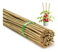Prime Plus 4Ft Bamboo Garden Canes Pack Of 25 120Cm Plant Support Stakes Natural