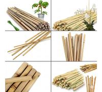 Prime Plus 4Ft Natural Bamboo Garden Canes Plant Support Sticks 120Cm Strong Plant Stakes For Climbing Plants & Vegetables Pack Of 250
