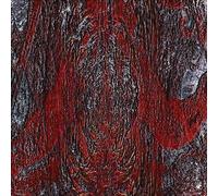 Prime Same by Asfast (Record, 2020)